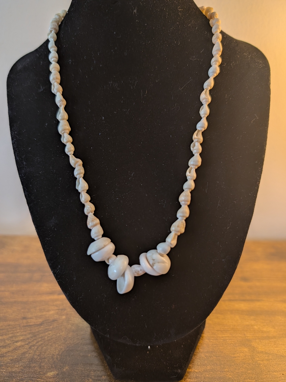 14 Inch Beaded Seashell Necklace